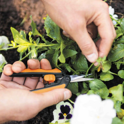 Ciseaux à fleurs de précision  Micro-tip Solid SP13 - FISKARS