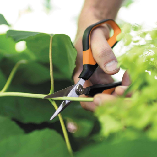 Ciseaux à fleurs de précision Poignées loupe Micro-tip Solid  SP16 - FISKARS