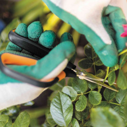 Ciseaux à fleurs de précision Poignées loupe Micro-tip Solid  SP16 - FISKARS