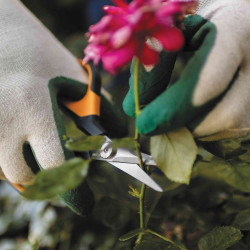Ciseaux à fleurs de précision Poignées loupe Micro-tip Solid  SP16 - FISKARS