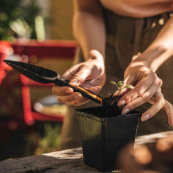 Plantoir à graines Solid - Guide de mesure - Fabriqué en FiberComp - FISKARS