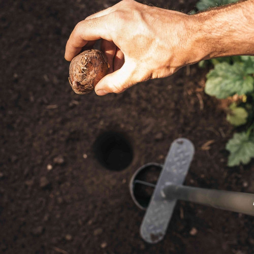 Plantoir à bulbes sur pied Ergo - manche acier - Longueur: 100 cm - FISKARS