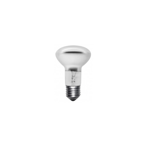 Spots incandescents reflecteurs 1 spot R63 40W 200 A vis E27 - AXIAN