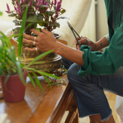 Ciseaux d’entretien pour plantes - avec support 17 cm - coupe plantes et fleurs - FISKARS