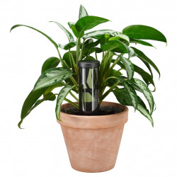 Pic d’arrosage - 350 ml - irrigation plantes d’intérieur et balcon - FISKARS