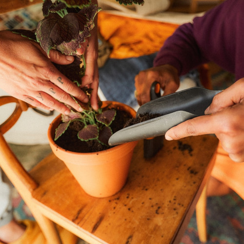 Pelle à terre avec brosse - 20,6 cm - rempotage et nettoyage des plantes - FISKARS
