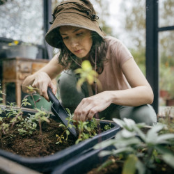 Pelle à semer - Solid 28,2 cm - rempotage et transplantation - FISKARS