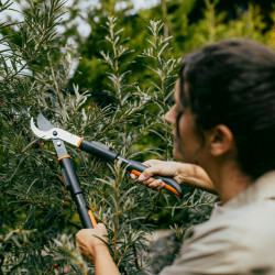 Coupe-branches bypass - OneClick 44,2 cm - coupe bois frais - FISKARS