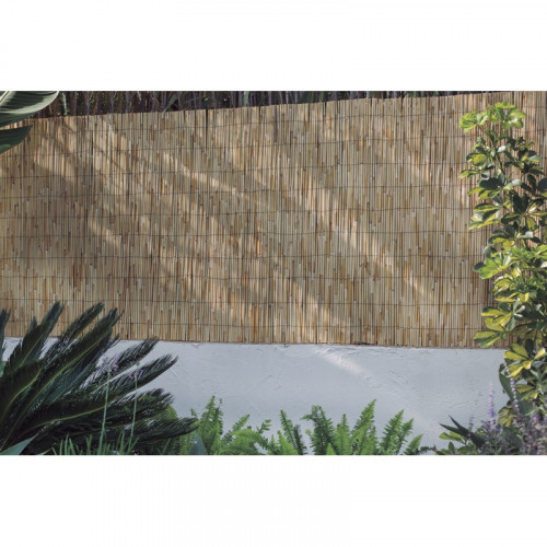 Canisse naturelle Reedcane Plus 1,5 x 5 m - roseaux réguliers - NORTENE 