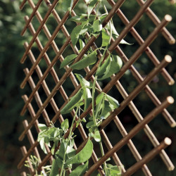 Treillis extensible en osier naturel 1 x 2 m - finition brun - décoratif de marque NORTENE , référence: J9733600