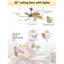 Ventilateur de plafond 107 cm blanc - pales transparentes avec LED 28 W et télécommande - DLC Home