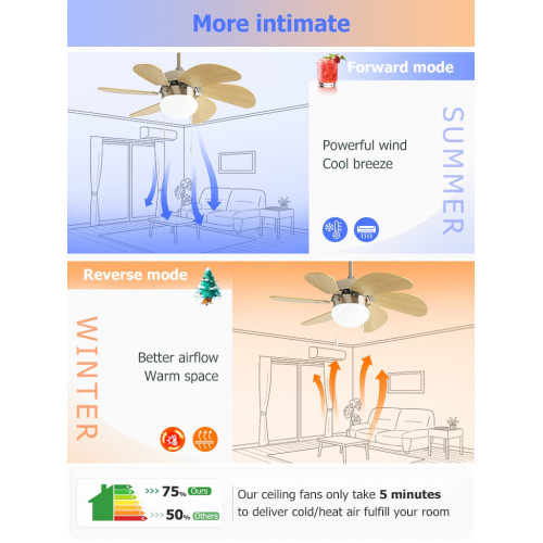 Ventilateur de plafond 107 cm blanc - pales transparentes avec LED 28 W et télécommande - DLC Home