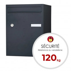 Boîte à colis - Atout - gris anthracite sablé - 1 porte - RENZ