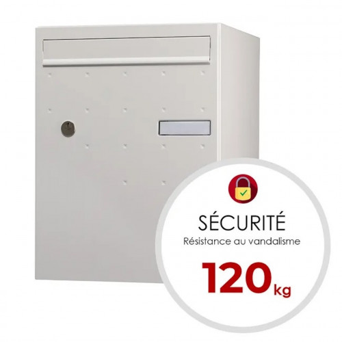 Boîte à colis - Atout -  blanc mat satiné - 1 porte - RENZ
