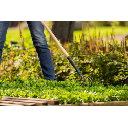 Griffe piocheuse 9 cm - PureLine - manche bois FSC et dents acier - GARDENA