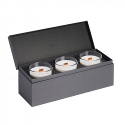 Coffret 3 grandes bougies crépitantes Candleplace - parfum feu de cheminée - autonomie 180h - TAGU