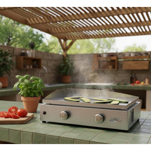 Plancha gaz inox 260 V2 - 2 brûleurs 4 kW - Plaque 57 x 34 cm - Origine France Garantie - LE MARQUIER