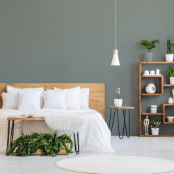 Peinture mur vert de fougère satin ID 2L - ID