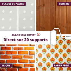 Peinture mur, plafond, boiserie blanc velours V33 Easy cover® 2.5L - V33