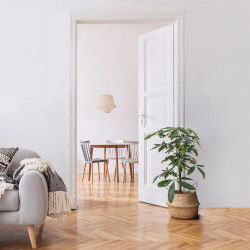 Peinture mur, plafond, boiserie blanc mat RIPOLIN Xpro3 5L - RIPOLIN
