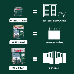 Peinture exterieure fer, aluminium Ultra protect SYNTILOR gris alu satine 2l - SYNTILOR