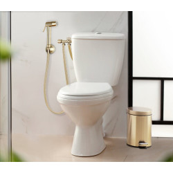 Kit hygiène WC 2 jets Or mâle / femelle 12 x 17/15 x 21 mm, MTK - Sans marque