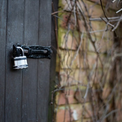 Cadenas à clé  acier laminé, MASTER LOCK, l.51 mm - MASTER LOCK