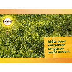 Chaux gazon SOLABIOL 10 kg 100 m² - SOLABIOL