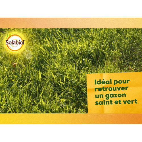 Chaux gazon SOLABIOL 10 kg 100 m² - SOLABIOL