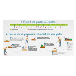 Gazon 7 jours, VILMORIN, 250 g 10 m² ou 15 m² - VILMORIN