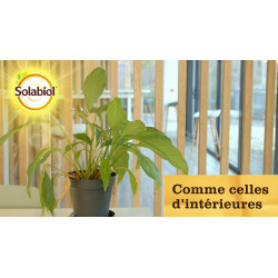 Traitement insectes pucerons SOLABIOL, pour arbres, arbustes, rosiers 750ML - SOLABIOL
