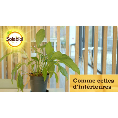 Traitement insectes pucerons SOLABIOL, pour arbres, arbustes, rosiers 750ML - SOLABIOL