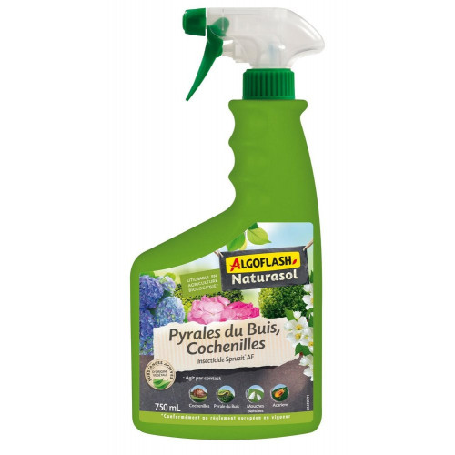 Traitement Pyrales du buis cochenilles - Algoflash