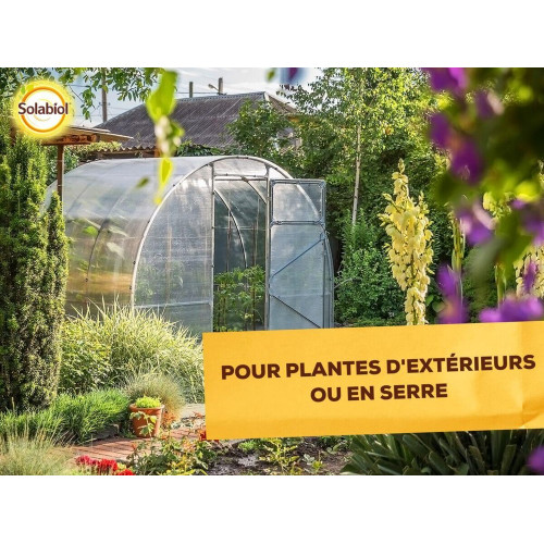 Piège à moucherons, Sopijaune SOLABIOL - SOLABIOL