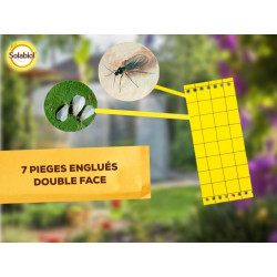 Piège à moucherons, Sopijaune SOLABIOL - SOLABIOL