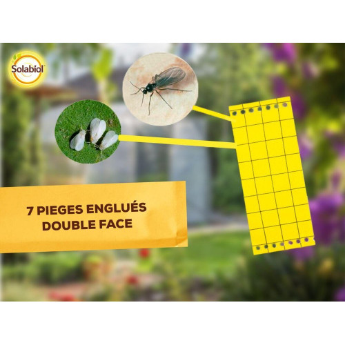 Piège à moucherons, Sopijaune SOLABIOL - SOLABIOL