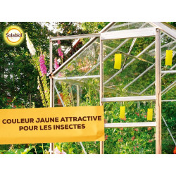 Piège à moucherons, Sopijaune SOLABIOL - SOLABIOL