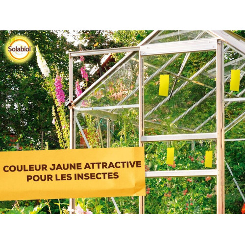 Piège à moucherons, Sopijaune SOLABIOL - SOLABIOL