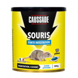 Pâte anti-souris CAUSSADE, 100g de marque CAUSSADE, référence: J9867100