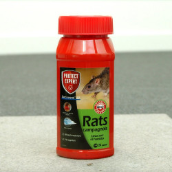 Pâte anti-rats campagnols PROTECT EXPERT, 240g - PROTECT EXPERT