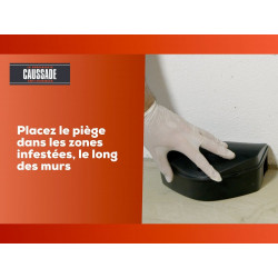 Pâte antirats et souris CAUSSADE, lot de 300 - CAUSSADE