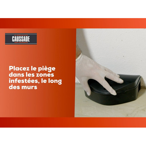 Pâte antirats et souris CAUSSADE, lot de 300 - CAUSSADE