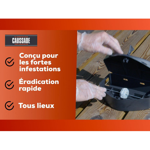 Pâte antirats et souris CAUSSADE, lot de 300 - CAUSSADE