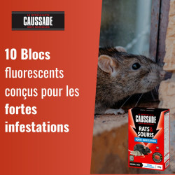 Anti - nuisible rats et souris forte infestation CAUSSADE 200gr - SOLABIOL