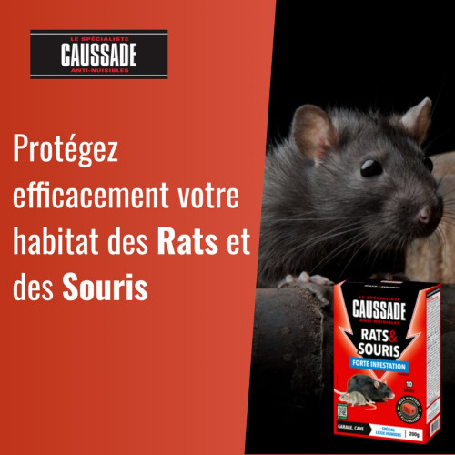 Anti - nuisible rats et souris  forte infestation CAUSSADE 200gr - SOLABIOL