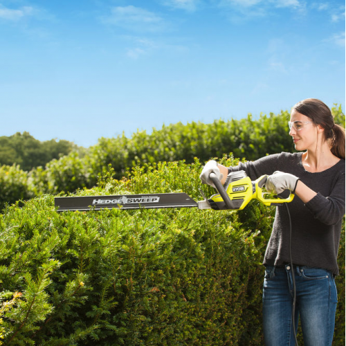 Taille-haie électrique RYOBI Rht8165rl, 800 W L.65 cm - RYOBI