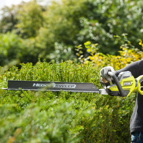 Taille-haie électrique RYOBI Rht8165rl, 800 W L.65 cm - RYOBI