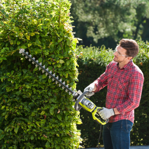 Taille-haie électrique RYOBI Rht8165rl, 800 W L.65 cm - RYOBI