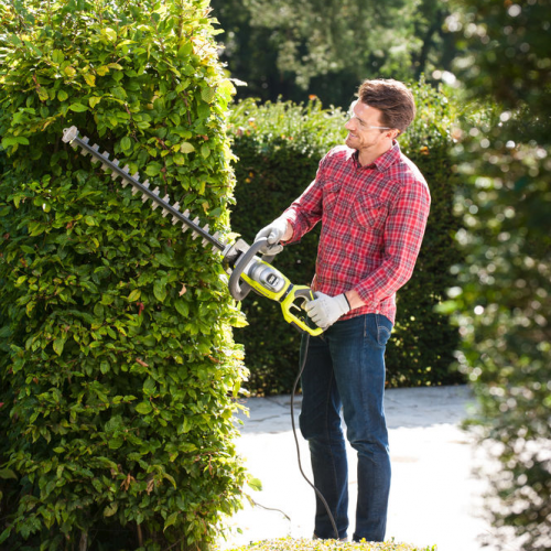 Taille-haie électrique RYOBI Rht8165rl, 800 W L.65 cm - RYOBI