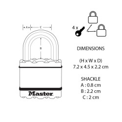 Lot de 2 cadenas à clé en  acier laminé, MASTER LOCK, l.45 mm - MASTER LOCK